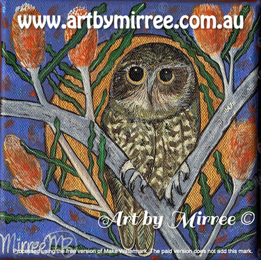 Boo Book Owl with Banksia Dreaming Framed Canvas Print by Mirree Contemporary Aboriginal Art